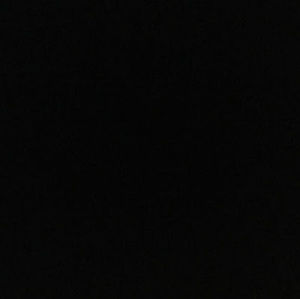 Meet your Posher, Angelina